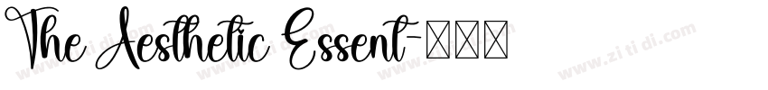 The Aesthetic Essent字体转换